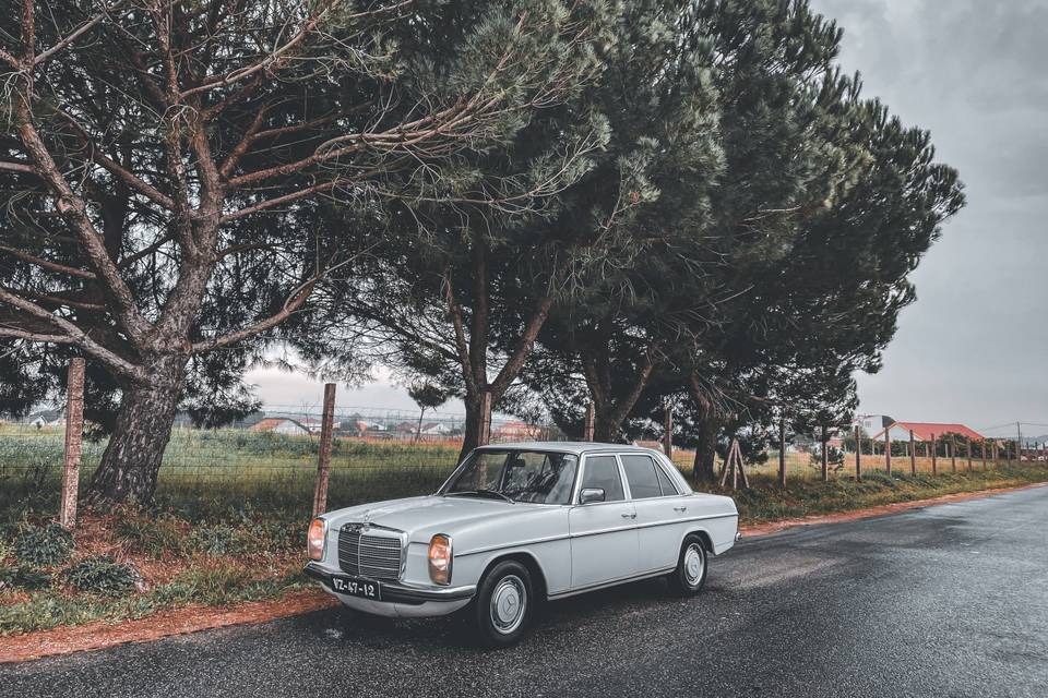 Mercedes Benz W115