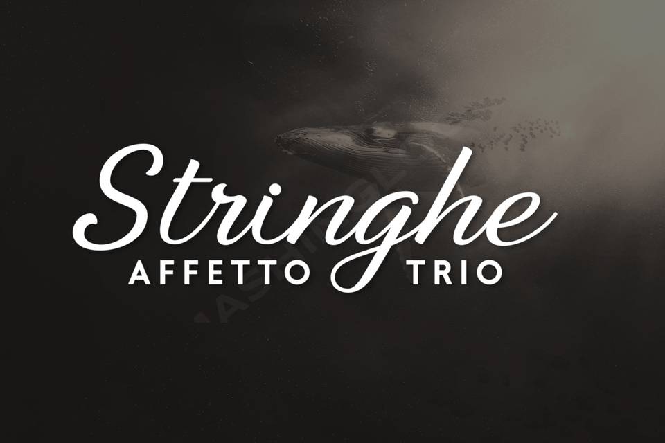 Stringhe Affetto Trio
