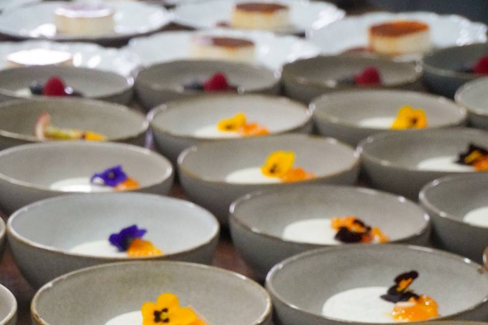 Pannacotta