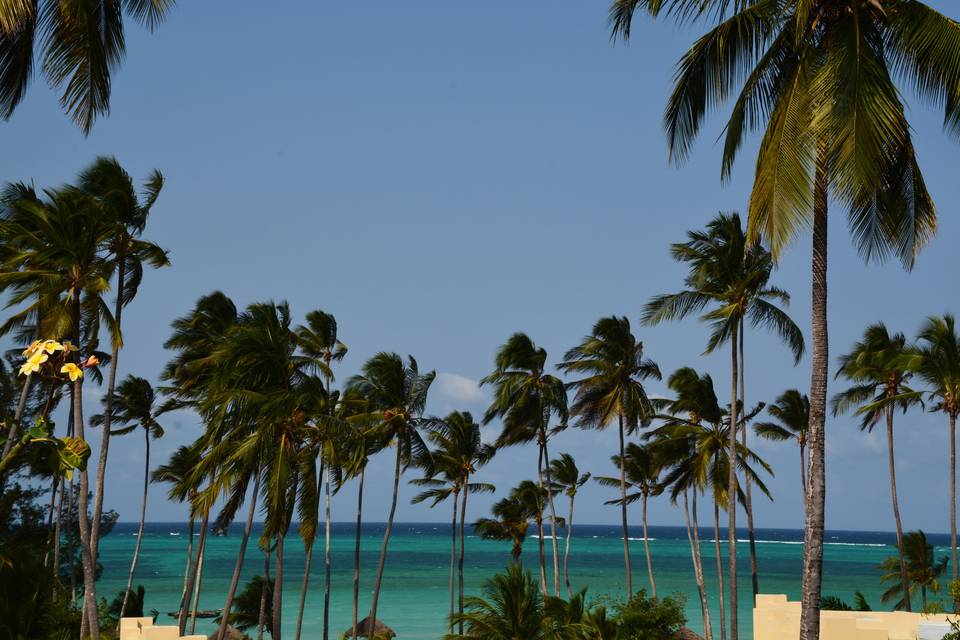 Lua de mel em zanzibar