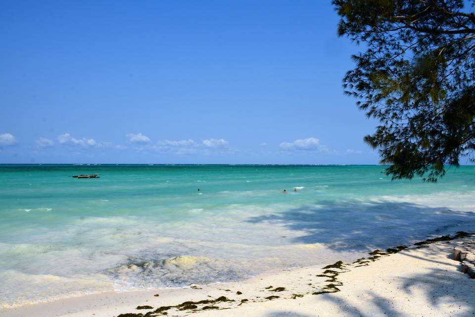 Lua de mel em zanzibar