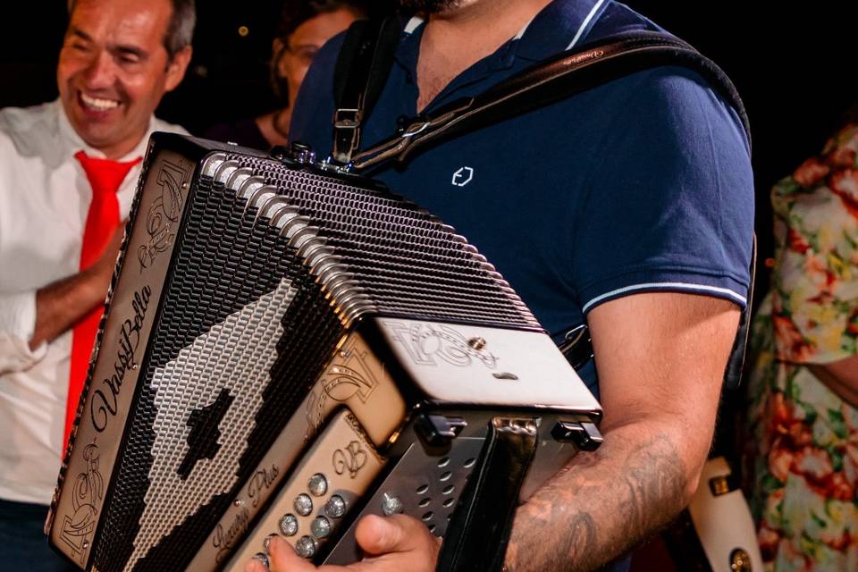 Concertina