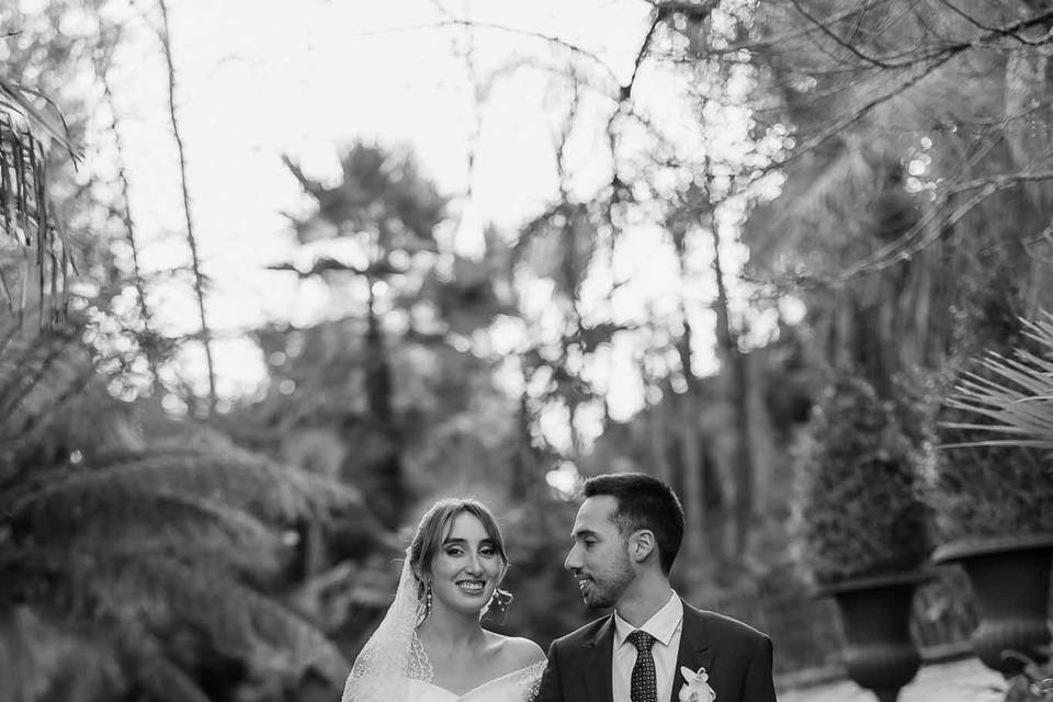 Palácio da Borralha