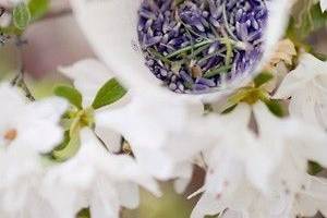 Chuva d'Amor com Lavanda