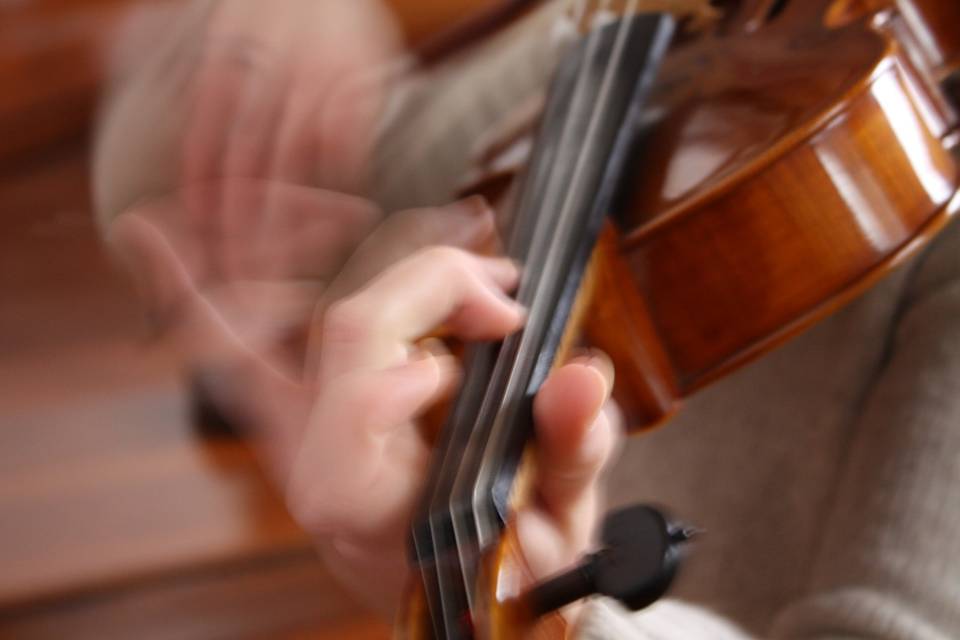 Viola d'Arco, Trio Incantatio