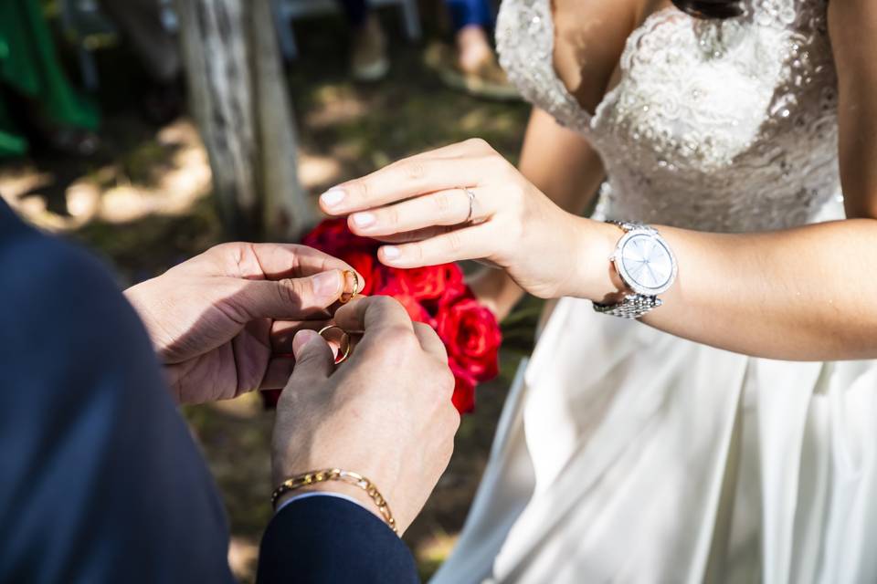 Casamento Ana Silvestre