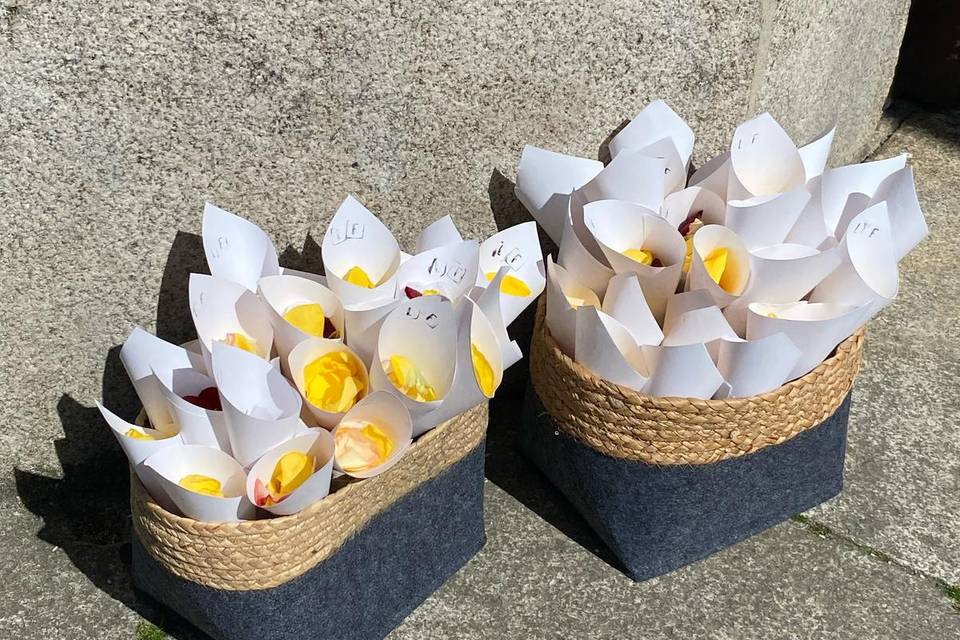 Cones