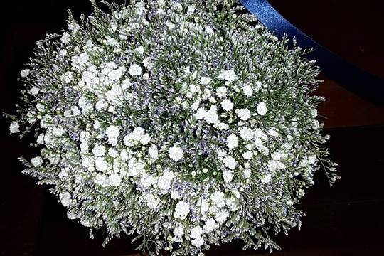 White Limonium -  Flowers & Design