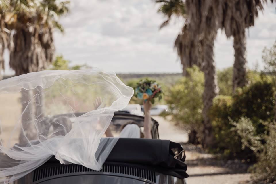 Fotografia casamento alentejo