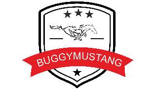 Buggymustang logo