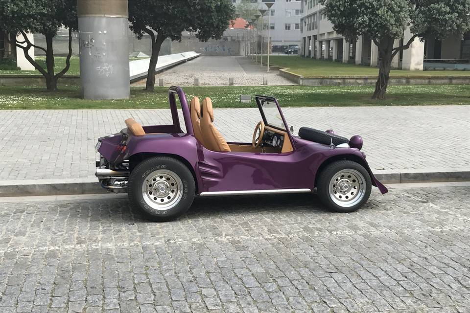 Buggy top