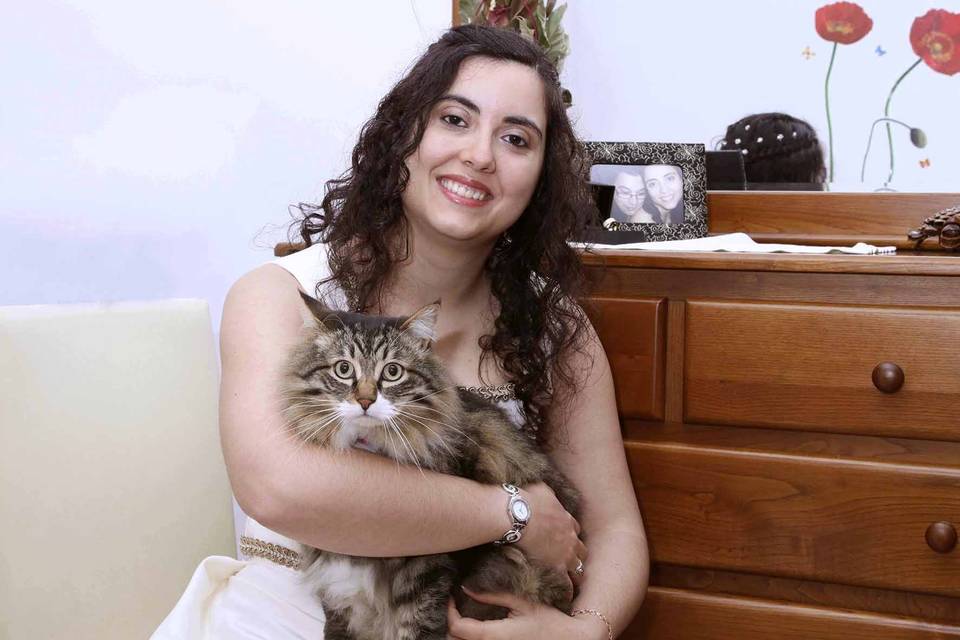 é o meu gato