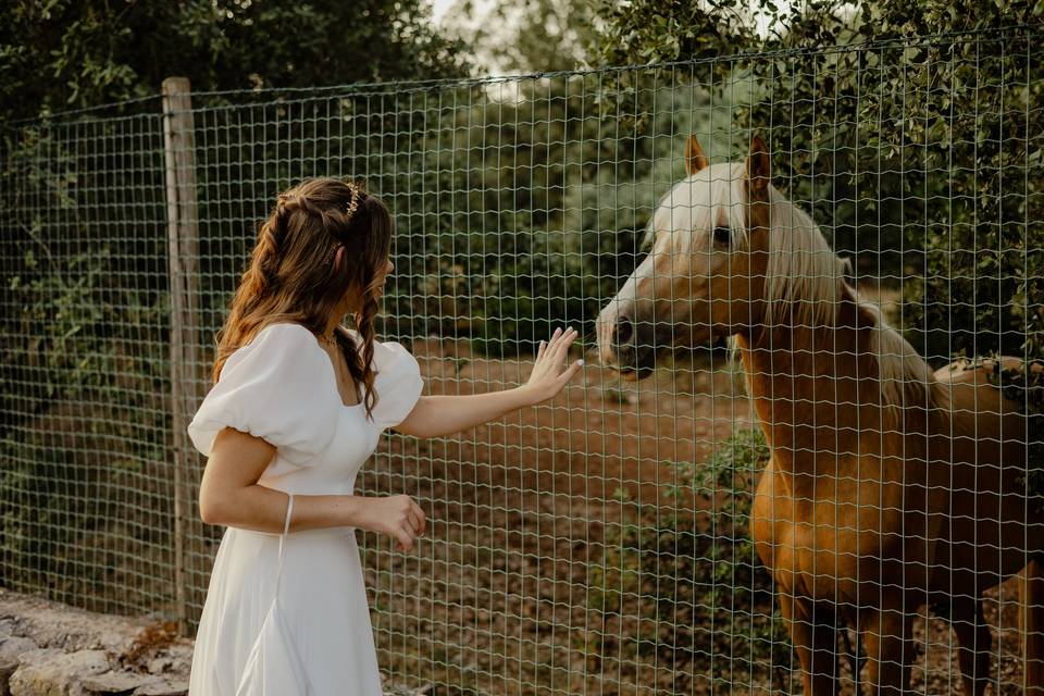 CATARINA & MIGUEL