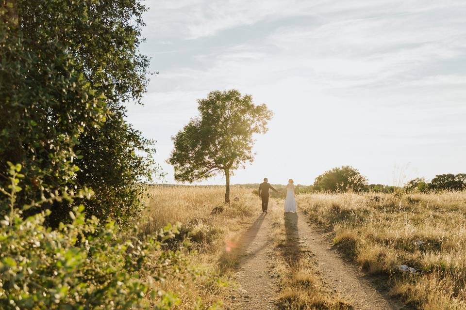 Fotografia-de-Casamento