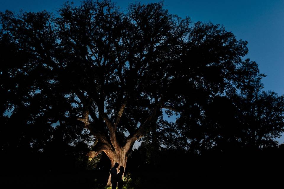 Fotografia-de-Casamento