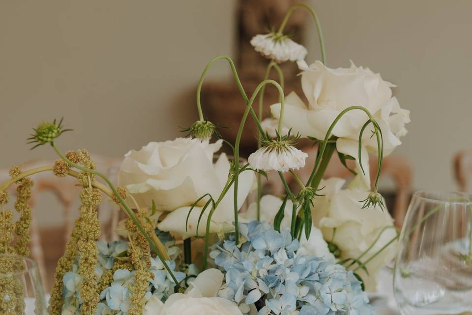 Madalena Rodrigues Photography