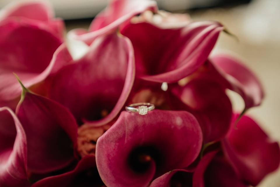 Madalena Rodrigues Photography