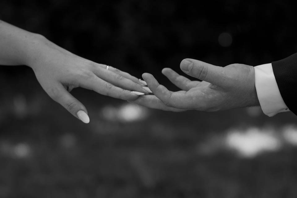 Madalena Rodrigues Photography