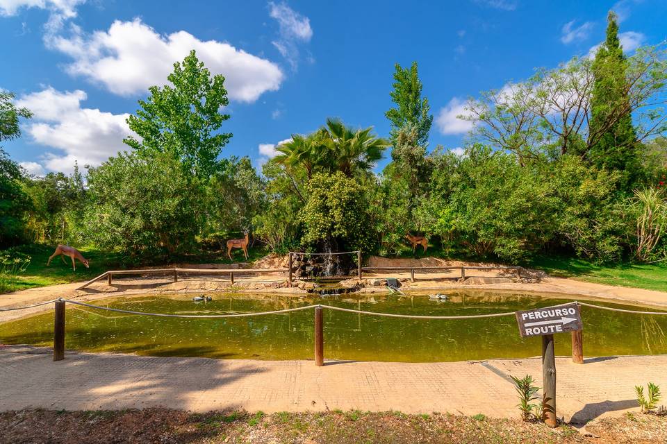 Lago parque da mina