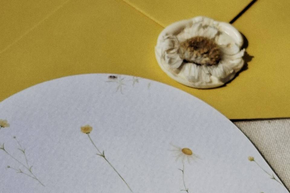 Detalhe Atrás - Alianças