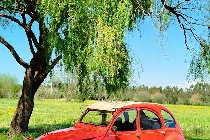 Serviço personalizado