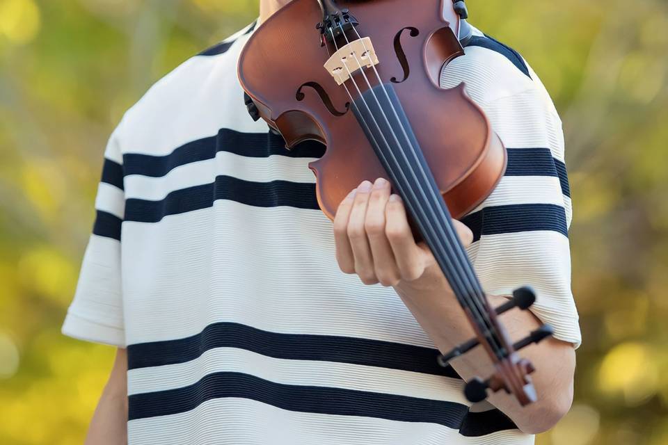 Violino