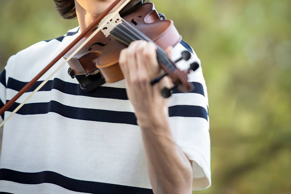 Violino