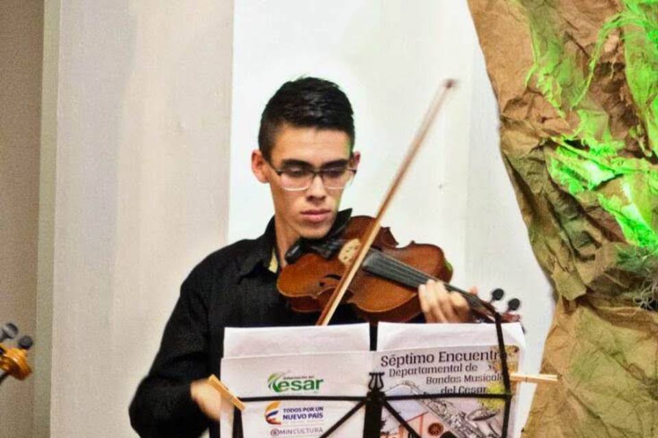 Violino