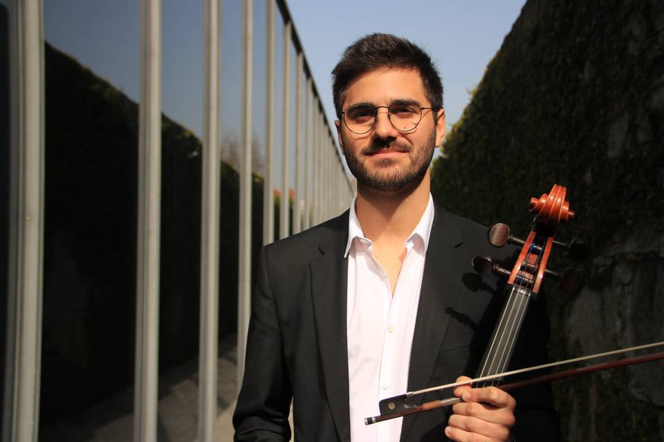 Violoncelo