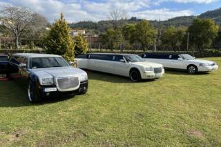 Prestige Limousine