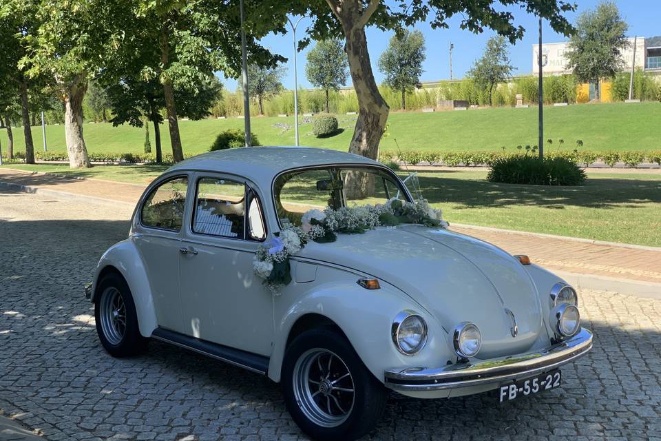 Vw