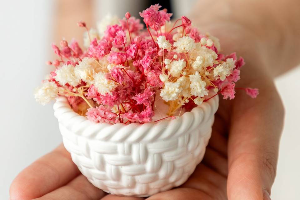 Flor seca em vaso gesso