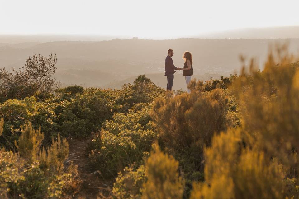 Do you want to marry me