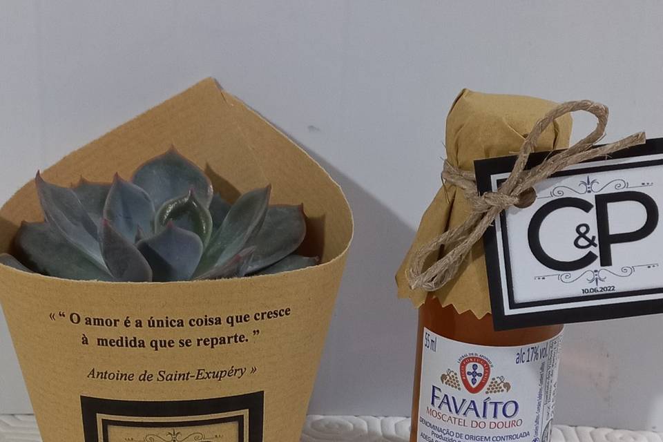 Mini garrafa e suculenta tudo