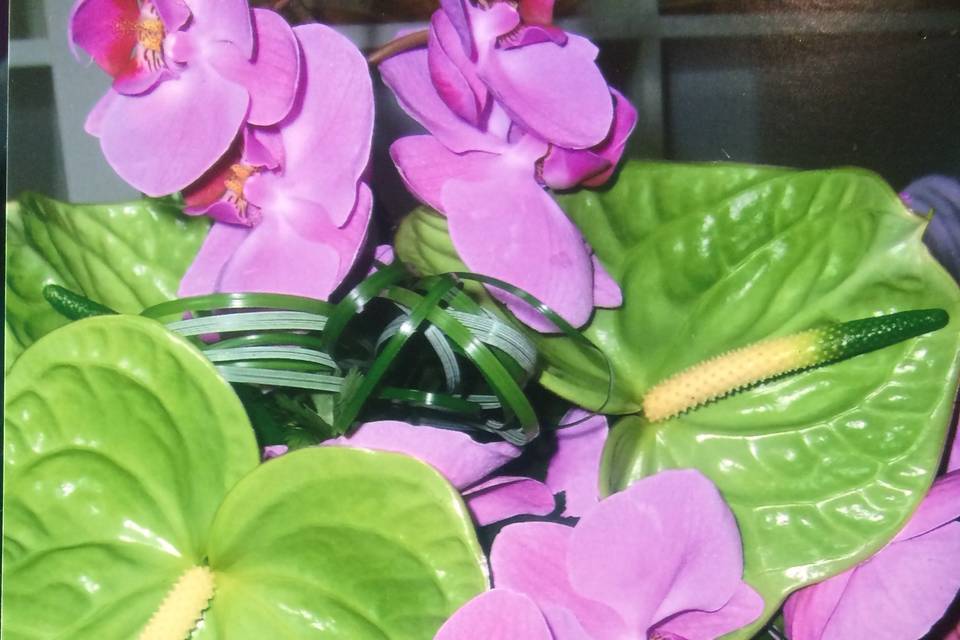 Bouquet de orquídea e anturio