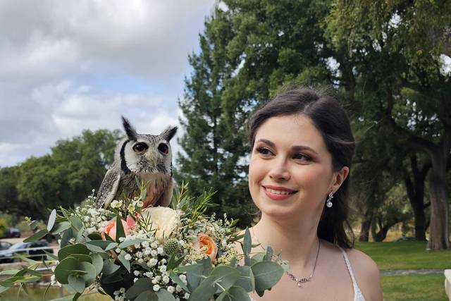 Aves do Oeste