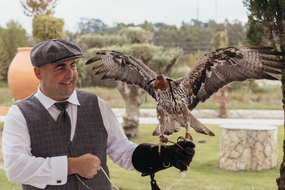 Águia de Bonelli