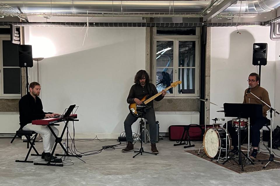 Bem-te-vi ao vivo na UPTEC