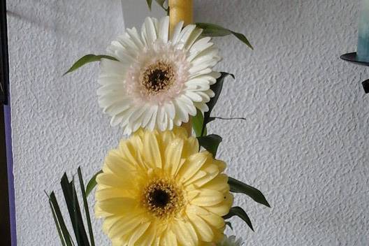 Gerberas e margaridas