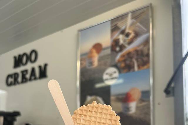 O nosso gelado