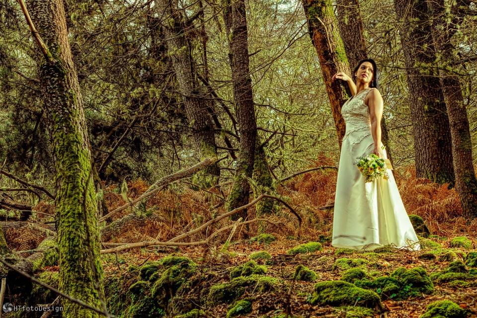 A noiva do bosque