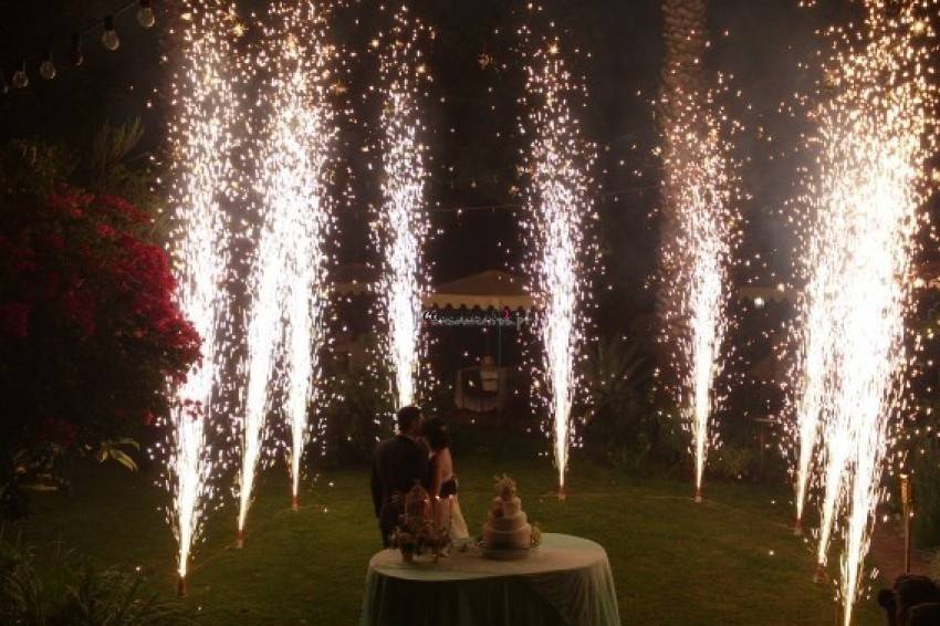 Animação em Evento Privado