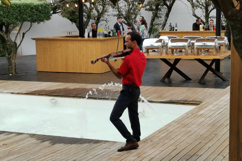 Violinista na Recepção