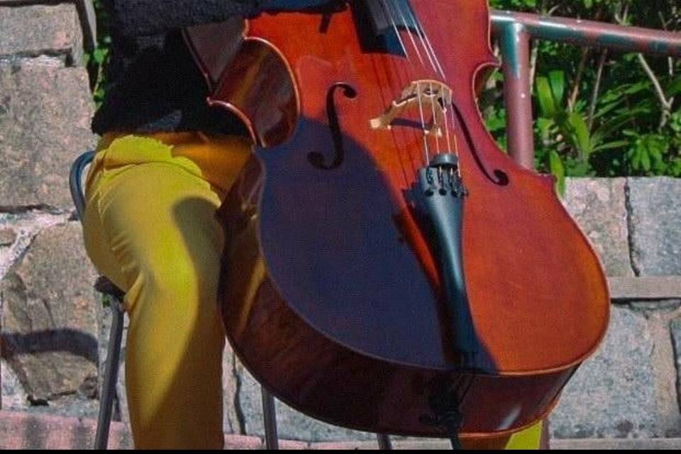 Violoncelo