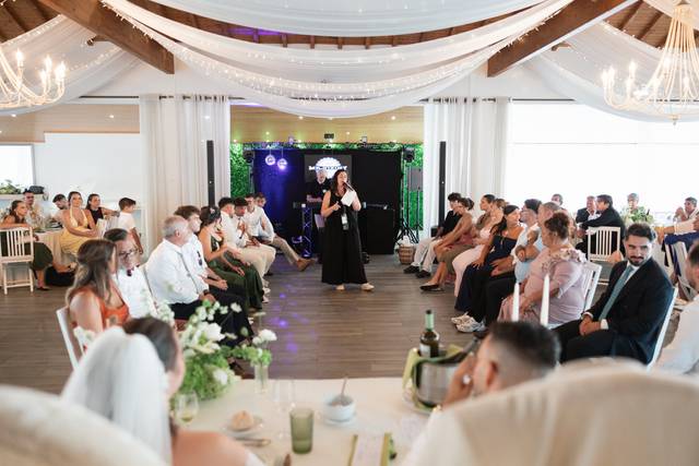 Wedding of the year/Mr.Viziny