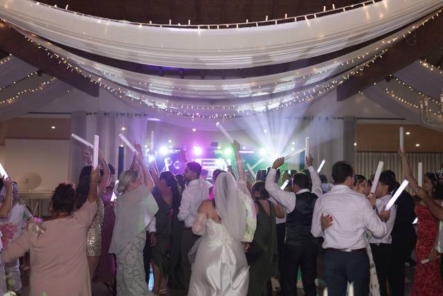 Wedding of the year/Mr.Viziny