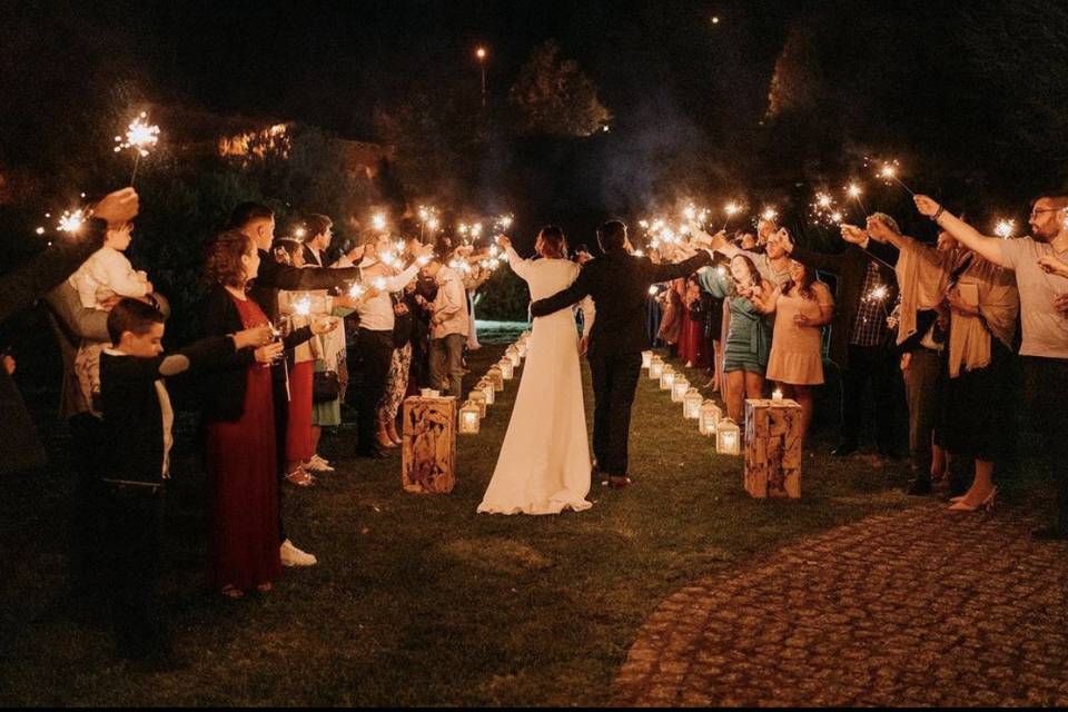 Wedding of the year /Mr.Viziny