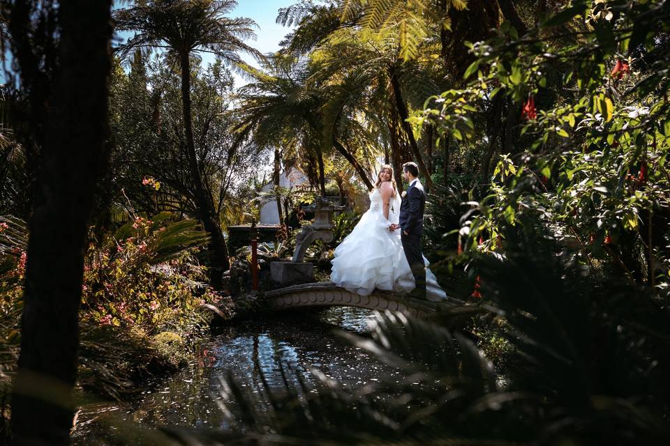 Filipe Frango Photography