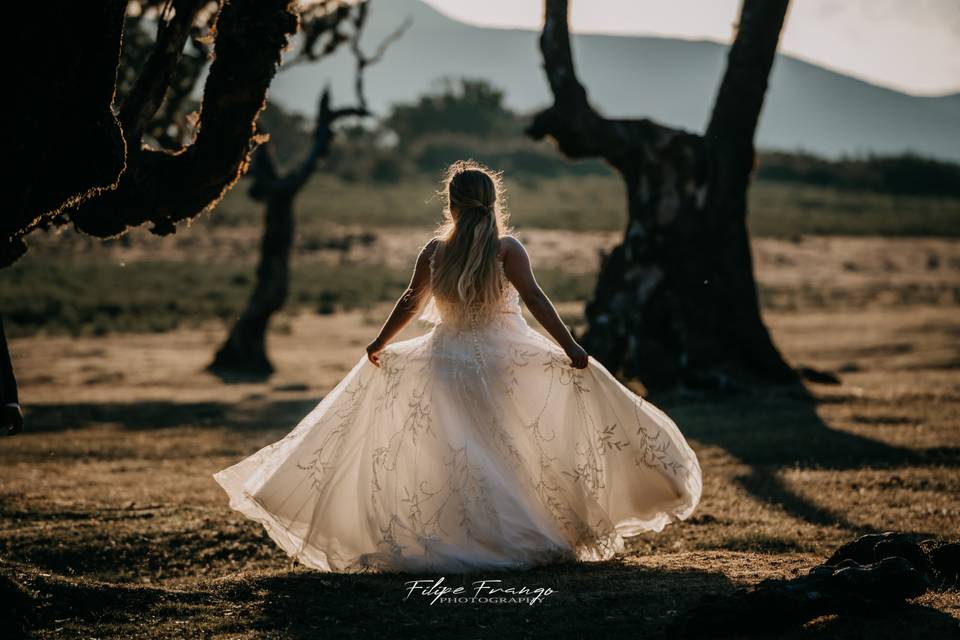 Filipe Frango Photography