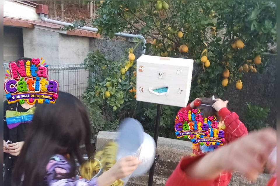 Nita catita